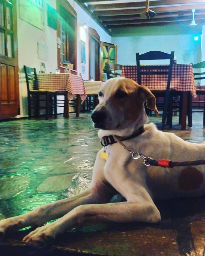 Astoria Paros Leilighet Náousa Eksteriør bilde