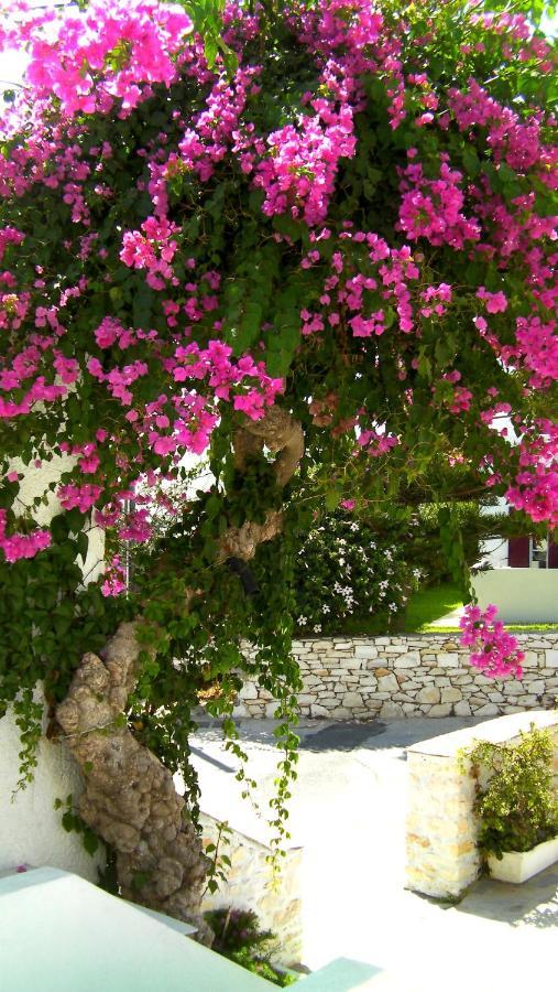 Astoria Paros Leilighet Náousa Eksteriør bilde